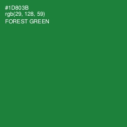 #1D803B - Forest Green Color Image